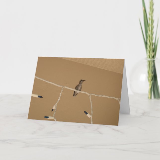 Cartes Pour Fêtes Annuelles Noël aux colibris (Devant)