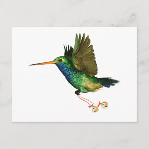Cartes Pour Fêtes Annuelles Noël aux colibris