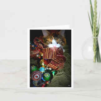 Cartes Pour Fêtes Annuelles Noël bariolé