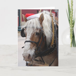 Cartes Pour Fêtes Annuelles Noël belge de cheval de trait