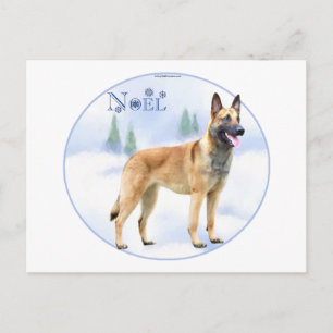 Cartes Pour Fêtes Annuelles Noel Belge Malinois