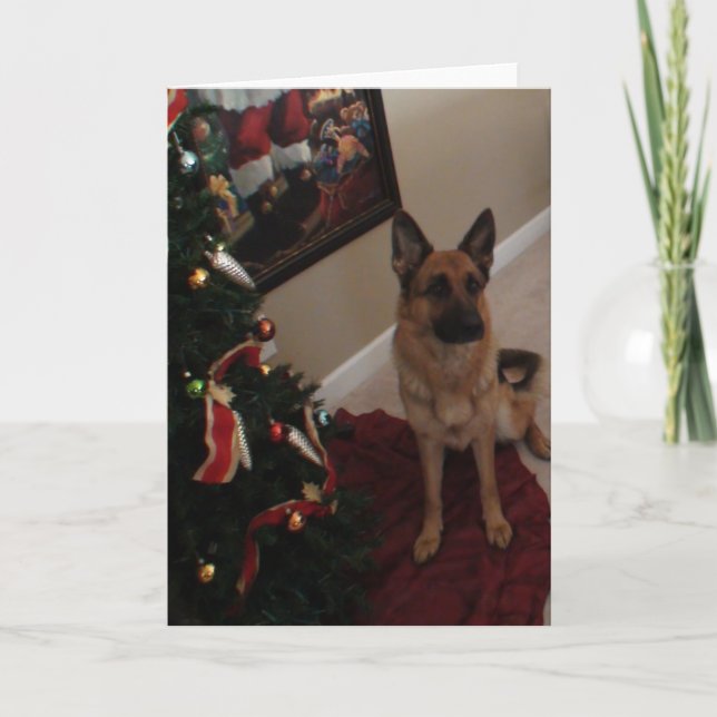 Cartes Pour Fêtes Annuelles Noël berger allemand (Devant)