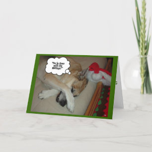 Cartes Pour Fêtes Annuelles Noël berger allemand