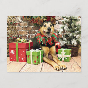 Cartes Pour Fêtes Annuelles Noël - Berger allemand X - Bailey