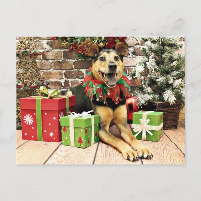Cartes Pour Fêtes Annuelles Noël - Berger allemand X - Bailey (Devant)