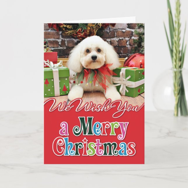 Cartes Pour Fêtes Annuelles Noël - Bichon Frise - Harry (Devant)