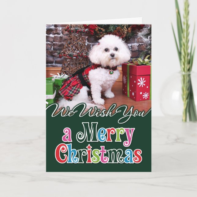 Cartes Pour Fêtes Annuelles Noël - Bichon Frise - Mia (Devant)