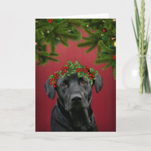 Cartes Pour Fêtes Annuelles Noël Black Lab