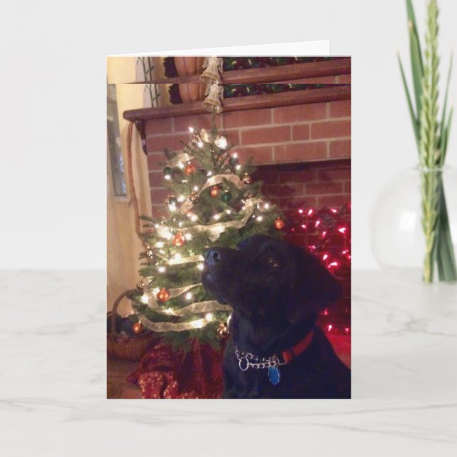 Cartes Pour Fêtes Annuelles Noël Black Lab (Devant)