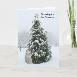 Cartes Pour Fêtes Annuelles Noël blanc