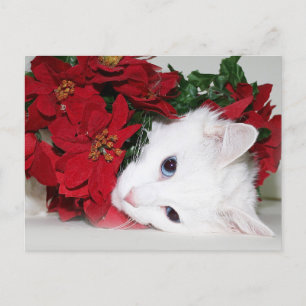 Cartes Pour Fêtes Annuelles Noël blanc