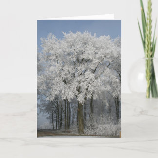 Cartes Pour Fêtes Annuelles Noël blanc