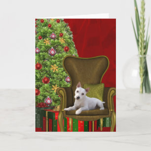 Cartes Pour Fêtes Annuelles Noël blanc de Jack Russell