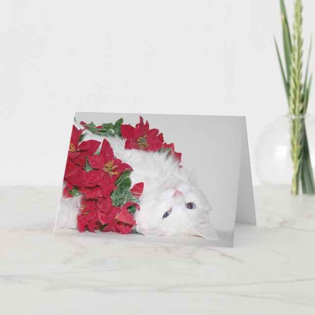 Cartes Pour Fêtes Annuelles Noël blanc de minou (Devant)