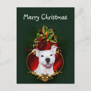 Cartes Pour Fêtes Annuelles Noël blanc de pitbull