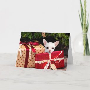 Cartes Pour Fêtes Annuelles Noël blanc du Chihuahua