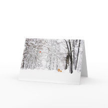 Noël blanc et or