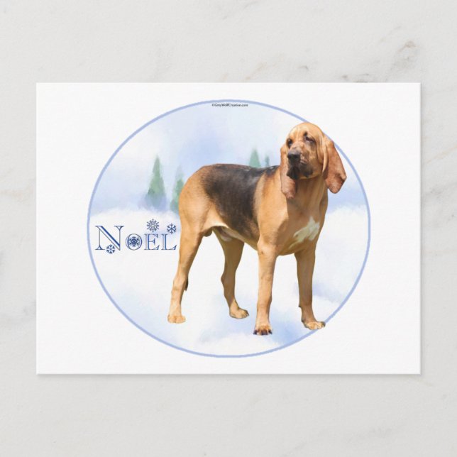 Cartes Pour Fêtes Annuelles Noel Bloodhound (Devant)