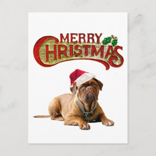 Cartes Pour Fêtes Annuelles Noël Bordeauxchien