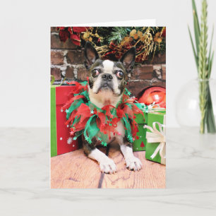 Cartes Pour Fêtes Annuelles Noël - Boston Terrier - Natty