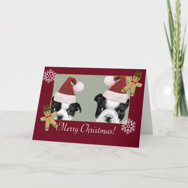 Cartes Pour Fêtes Annuelles Noël Boston Terriers (Devant)
