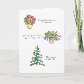 Cartes Pour Fêtes Annuelles Noël botanique