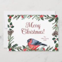 Noël botanique aux oiseaux rouges d'hiver