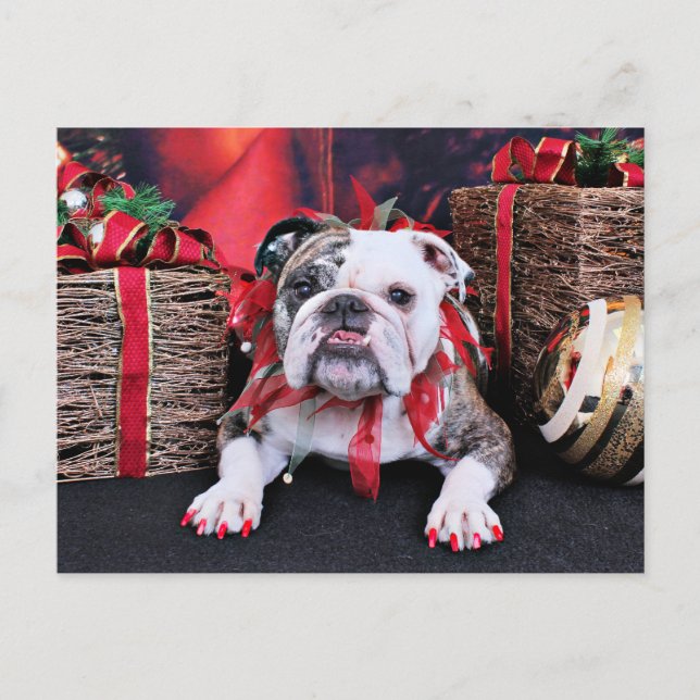 Cartes Pour Fêtes Annuelles Noël - Bulldog - Delilah (Devant)