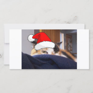 Cartes Pour Fêtes Annuelles Noël Calico