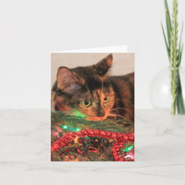 Cartes Pour Fêtes Annuelles Noël Calico, Chat aime les lumières !