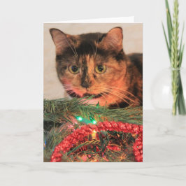 Cartes Pour Fêtes Annuelles Noël Calico, Chat aime les lumières !