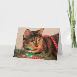 Cartes Pour Fêtes Annuelles Noël Calico, Chat aime les lumières !