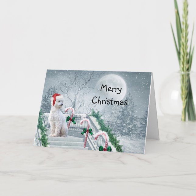 Cartes Pour Fêtes Annuelles Noël Caniche Blanc (Devant)