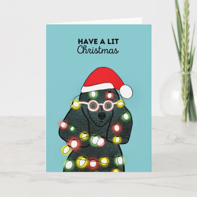 Cartes Pour Fêtes Annuelles Noël Caniche Noir  (Devant)