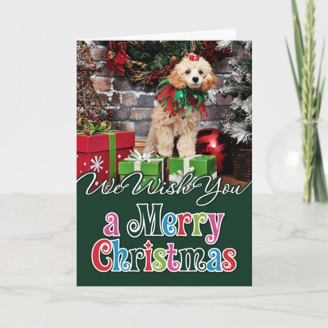 Cartes Pour Fêtes Annuelles Noël - caniche - Patronaglo (Devant)
