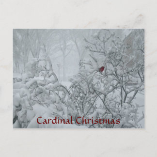 Cartes Pour Fêtes Annuelles Noël cardinal