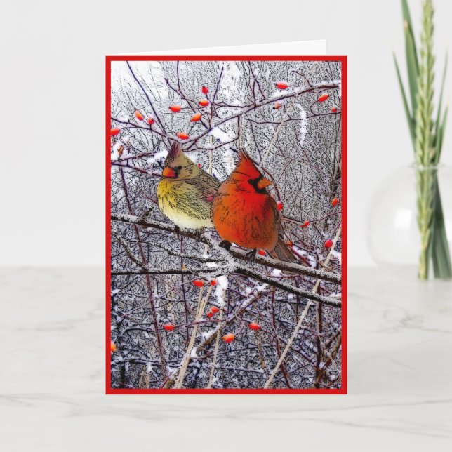 Cartes Pour Fêtes Annuelles Noël cardinal (Devant)