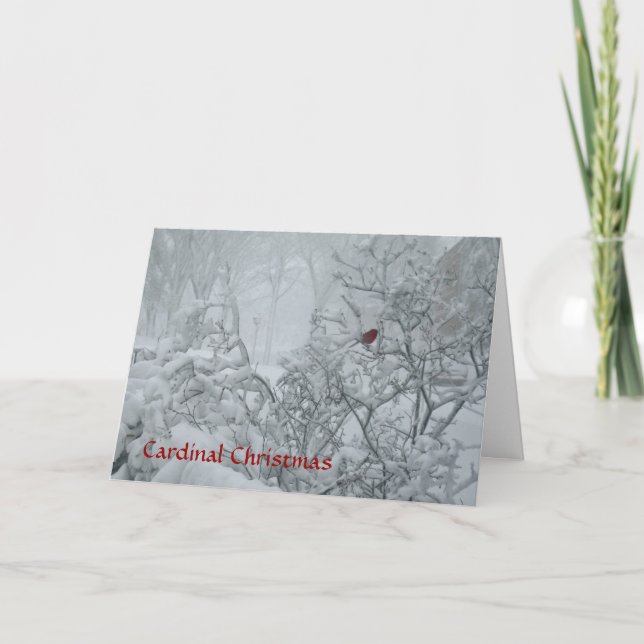 Cartes Pour Fêtes Annuelles Noël cardinal (Devant)