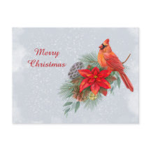 Noël Cardinal Rouge Poinsettia Business