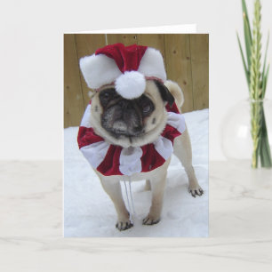 Cartes Pour Fêtes Annuelles Noël Carlin de vacances en neige
