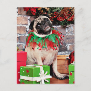 Cartes Pour Fêtes Annuelles Noël - Carlin - Lily Lou