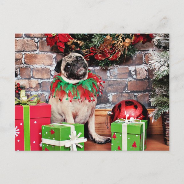 Cartes Pour Fêtes Annuelles Noël - Carlin - Lily Lou (Devant)