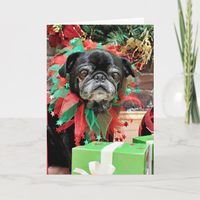 Cartes Pour Fêtes Annuelles Noël - carlin - Michaelis (Devant)