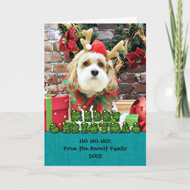 Cartes Pour Fêtes Annuelles Noël - Cavachon - Max (Devant)
