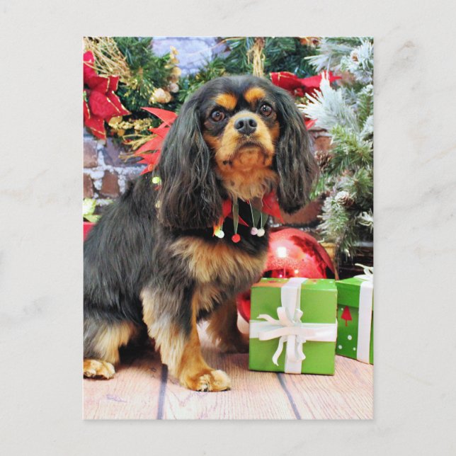 Cartes Pour Fêtes Annuelles Noël - Cavalier - Charlie (Devant)