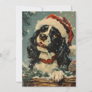 Cartes Pour Fêtes Annuelles Noël Cavalier King Charles Spaniel