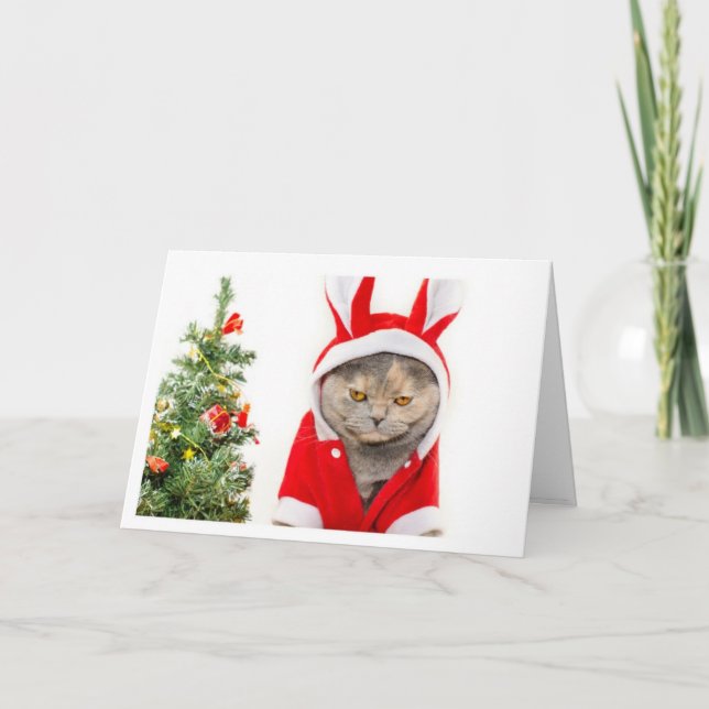 Cartes Pour Fêtes Annuelles Noël - Chat (Devant)