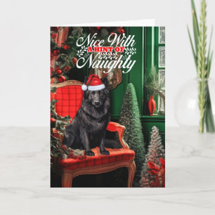 Cartes Pour Fêtes Annuelles Noël Chien de Noël Belge Naughty ou Nice