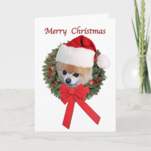 Cartes Pour Fêtes Annuelles Noël, Chien de Poméranie, Santa Hat