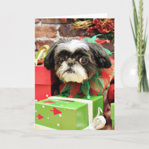 Cartes Pour Fêtes Annuelles Noël - Chih Tzu - Yogi